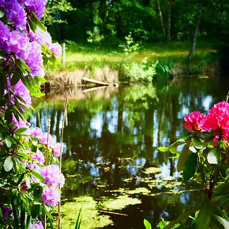 海德克劳派克酒店 酒店 埃瑟尔