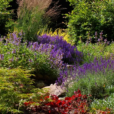 Hotell Heide Kroepke 4*