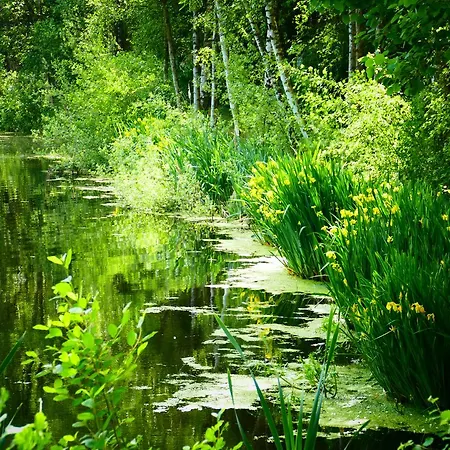 Heide Kroepke 4* Essel