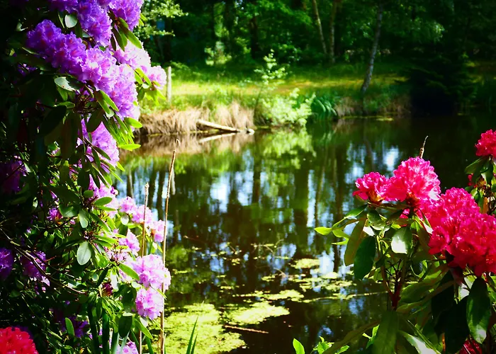 Heide Kroepke מלון Essel