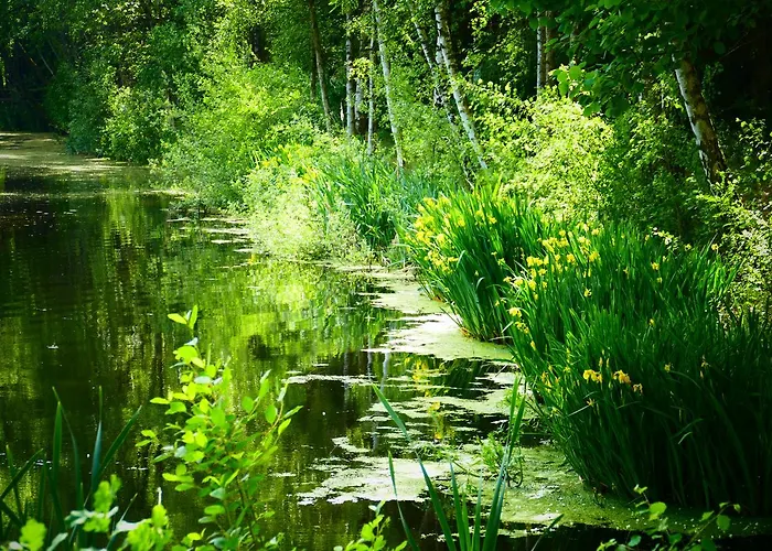 Heide Kroepke 4* Эссель